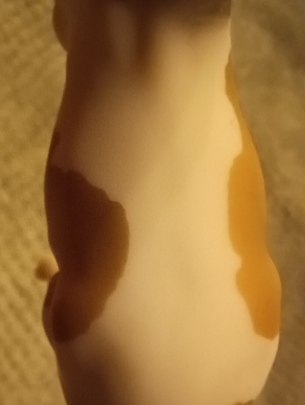 Breyer Spaetzle - Picture 12 of 16